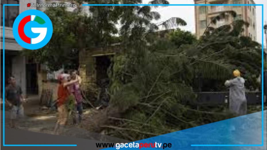 Supertifón Ragasa impacta en la principal zona industrial de China