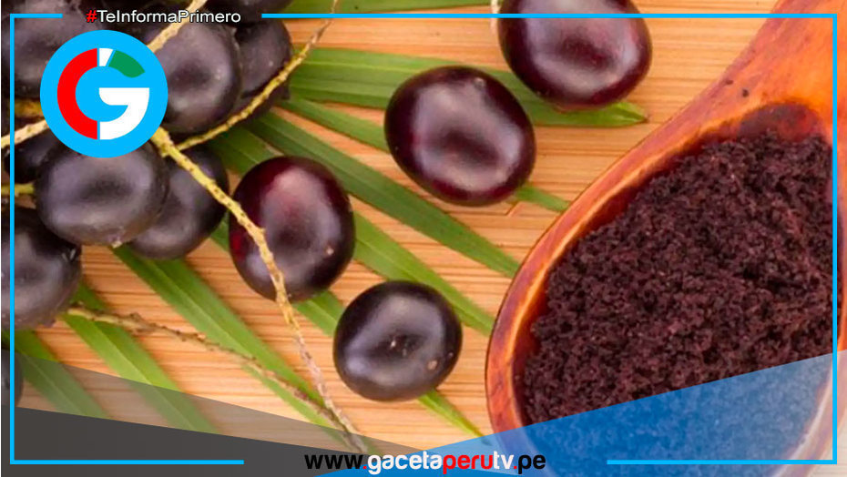 ¿Cómo se conoce al açaí en Perú y qué rasgos nutritivos tiene?