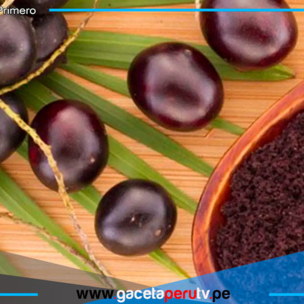 ¿Cómo se conoce al açaí en Perú y qué rasgos nutritivos tiene? 