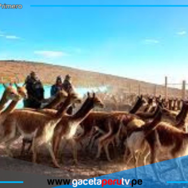 Fuente Fotográfica: AGROPERÚ informa
