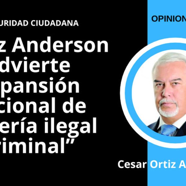 Ortiz Anderson advierte expansión nacional de minería ilegal criminal