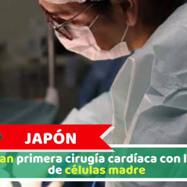 Japón: Realizan primera cirugía cardíaca con láminas de células madre