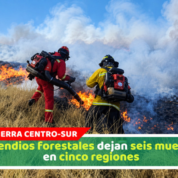 Incendios forestales dejan seis muertos en cinco regiones 