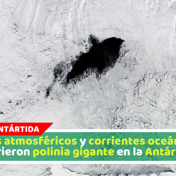 Ríos atmosféricos y corrientes oceánicas abrieron polinia gigante en la Antártida