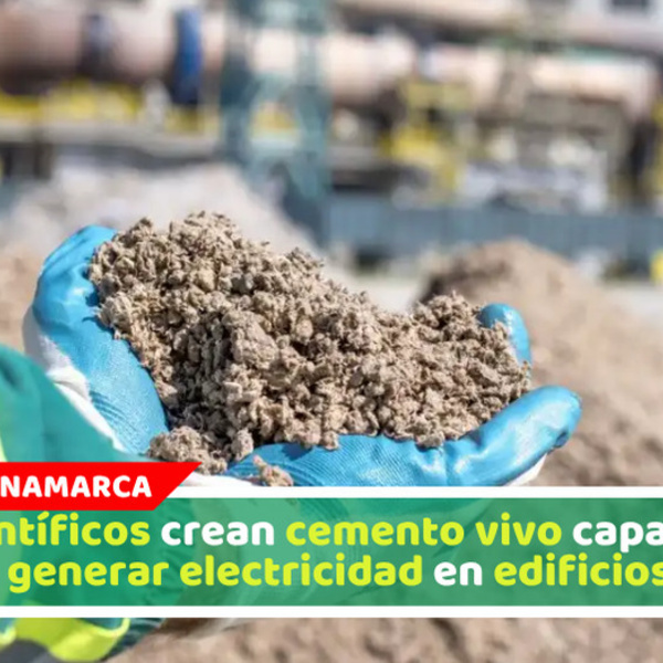 Científicos crean cemento vivo capaz de generar electricidad en edificios