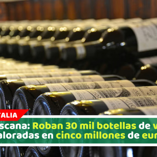 Toscana: Roban 30 mil botellas de vino valoradas en cinco millones de euros