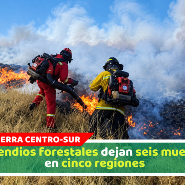 Incendios forestales dejan seis muertos en cinco regiones 