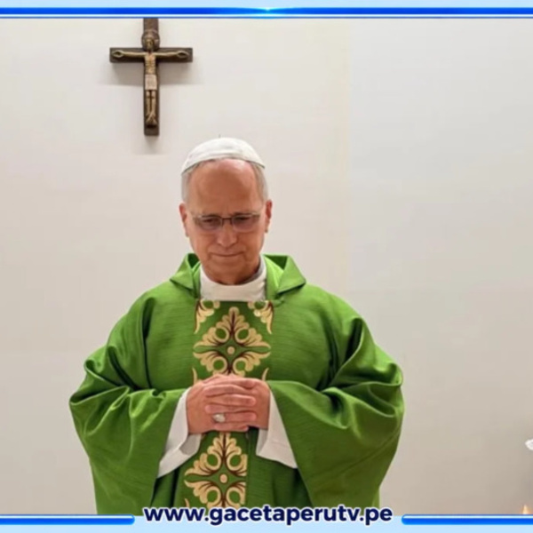 Italia: Publican primeras imágenes del papa León XIV tras operación