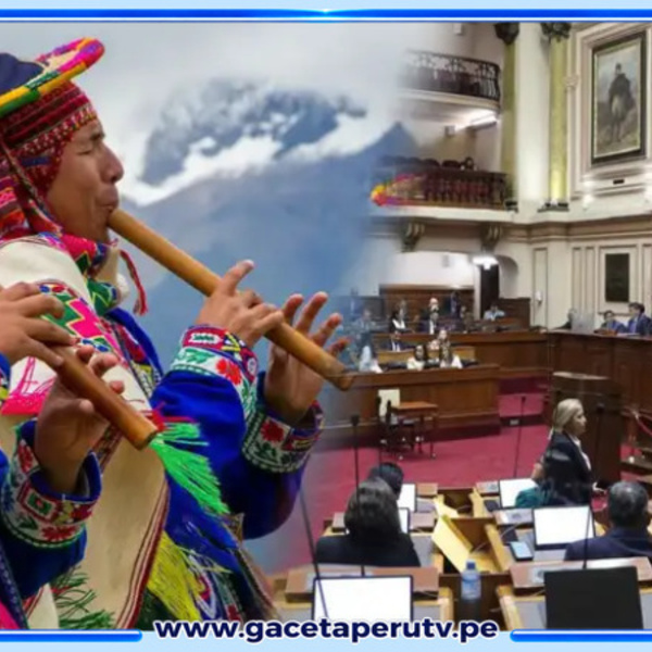 Cámara de Diputados aprueba La ley Profesional de Artistas