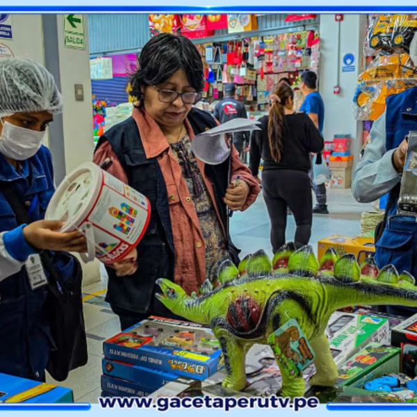 Sancionan a jugueterías en Arequipa por fallas sanitarias