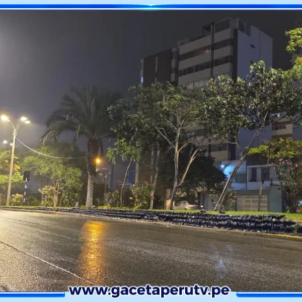 Inesperada llovizna nocturna sorprende a distritos de Lima