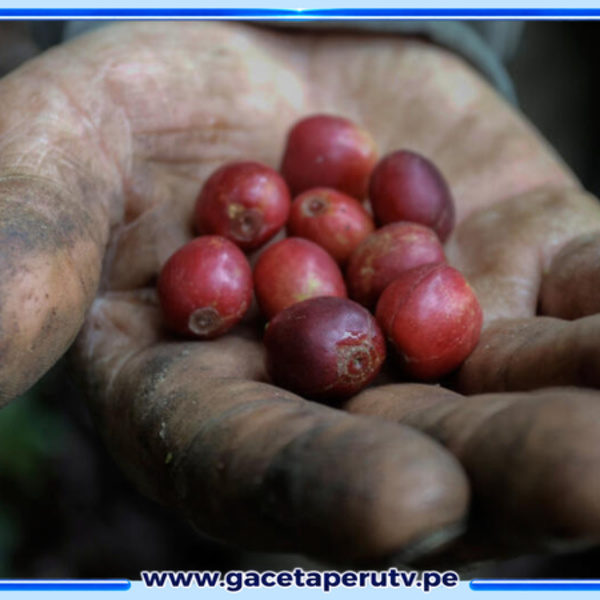 Colombia propone elevar el IVA al café y reducir impuestos empresariales