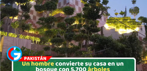 Un hombre convierte su casa en un bosque con 5.700 árboles