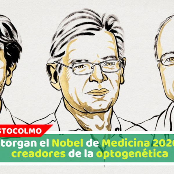 Otorgan el Nobel de Medicina 2026 a creadores de la optogenética