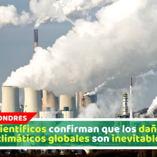 Científicos confirman que los daños climáticos globales son inevitables