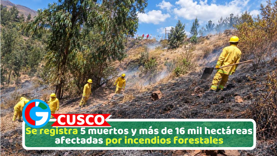 Se registra 5 muertos y más de 16 mil hectáreas afectadas por incendios forestales