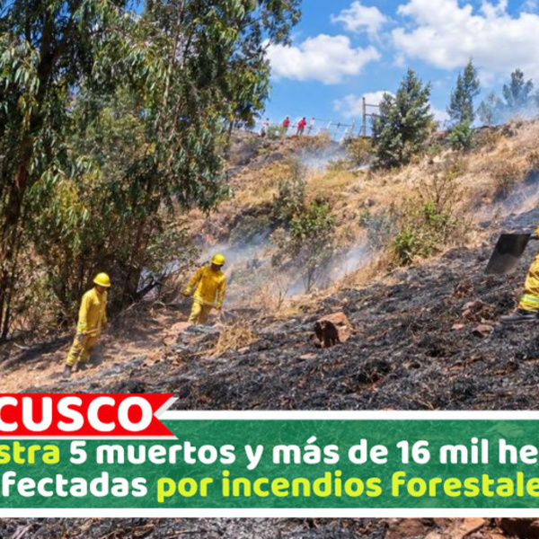 Se registra 5 muertos y más de 16 mil hectáreas afectadas por incendios forestales