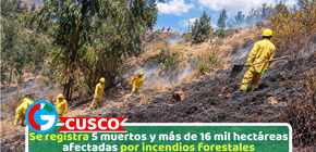 Se registra 5 muertos y más de 16 mil hectáreas afectadas por incendios forestales