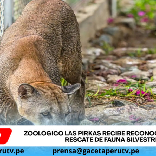 Zoológico Las Pirkas recibe reconocimiento por rescate de fauna silvestre