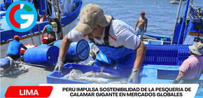 Perú impulsa sostenibilidad de la pesquería de calamar gigante en mercados globales