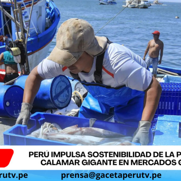 Perú impulsa sostenibilidad de la pesquería de calamar gigante en mercados globales