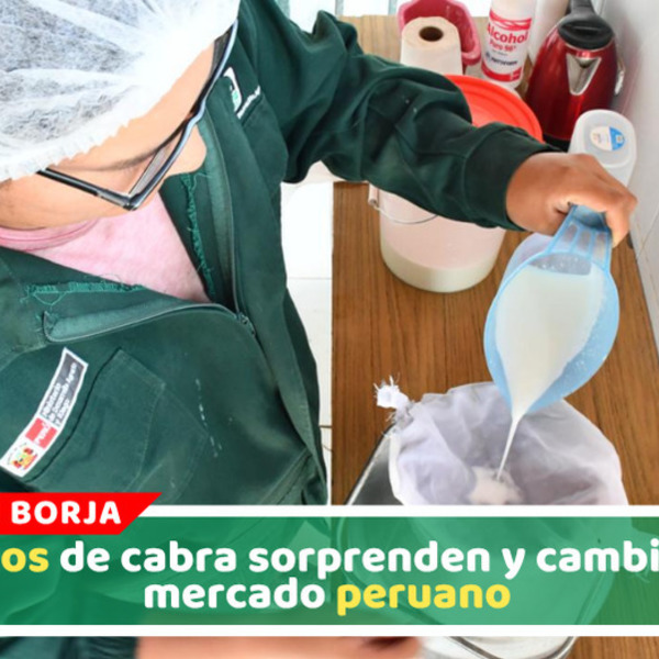 Ganadería caprina lidera Salón del Queso Peruano 2026
