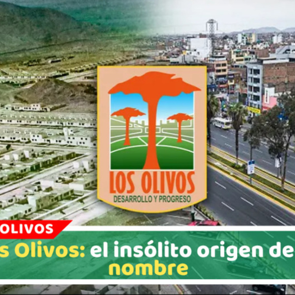 Los Olivos: origen del nombre y creación del distrito