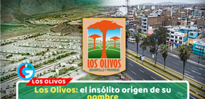 Los Olivos: origen del nombre y creación del distrito