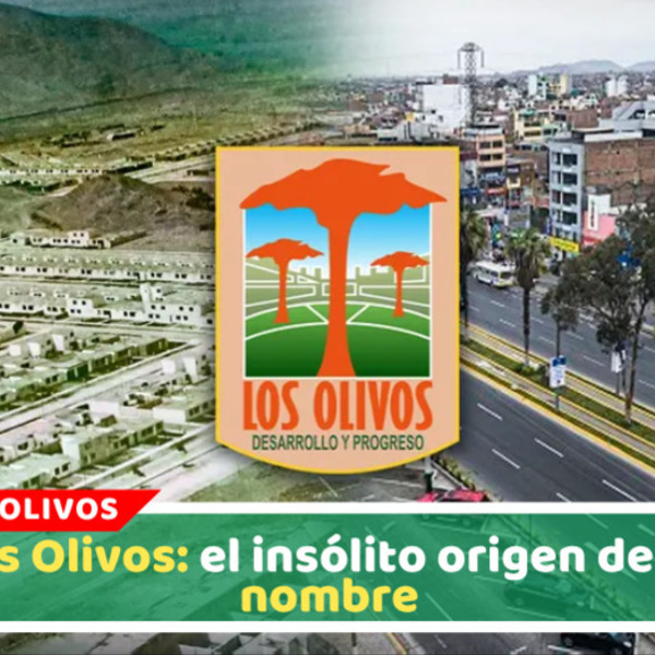 Los Olivos: origen del nombre y creación del distrito