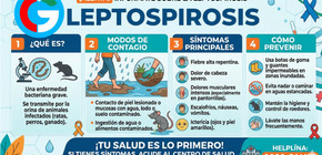 Reportan cuatro fallecidos por leptospirosis en la región norteña Tumbes