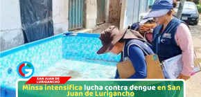 Minsa intensifica lucha contra dengue en San Juan de Lurigancho
