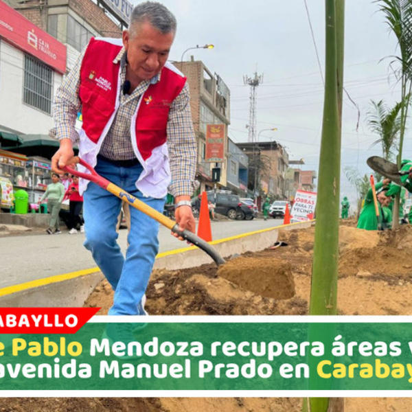 Alcalde Pablo Mendoza recupera áreas verdes de avenida Manuel Prado en Carabayllo