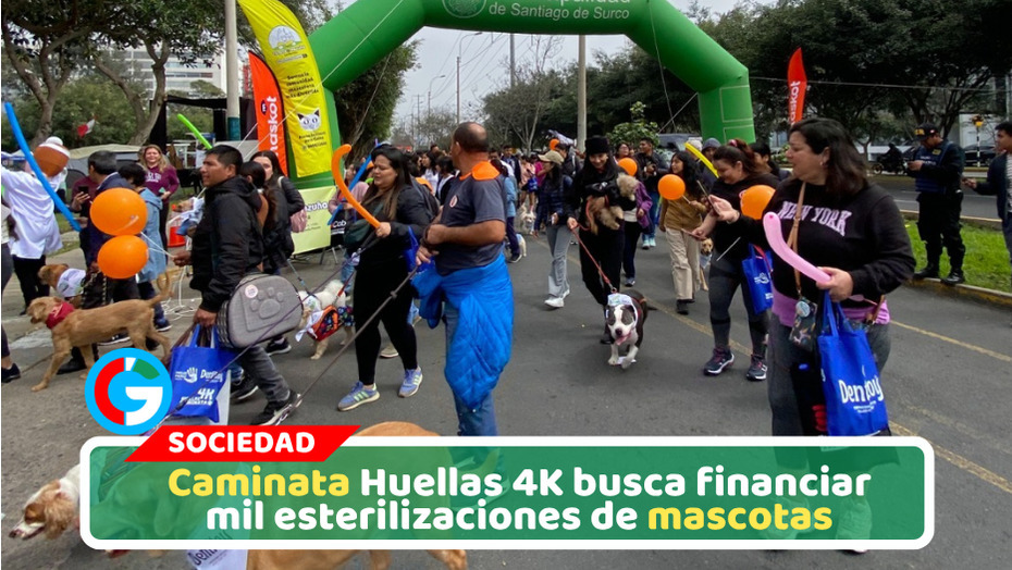Una caminata para dar una segunda oportunidad: buscan financiar 1000 esterilizaciones de perros y gatos abandonados