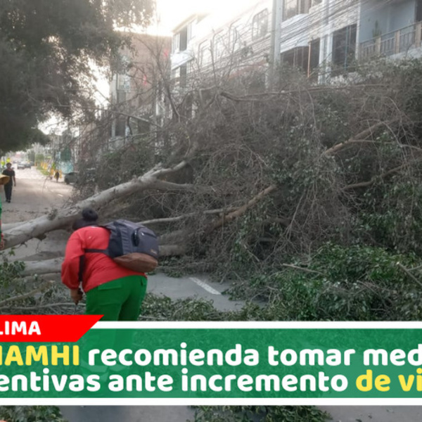 SENAMHI alerta que vientos fuertes continuarán hasta el domingo 02 de agosto