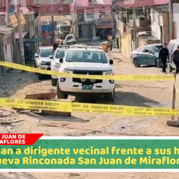 Matan a dirigente de olla común mientras protegía a sus hijas en San Juan de Miraflores