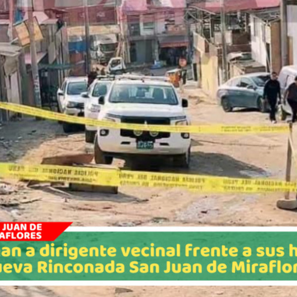 Matan a dirigente de olla común mientras protegía a sus hijas en San Juan de Miraflores