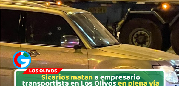 Asesinan a gerente de transporte en violento ataque armado en Los Olivos