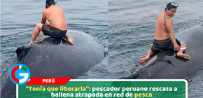 "Tenía que liberarla": pescador peruano rescata a ballena atrapada en red de pesca
