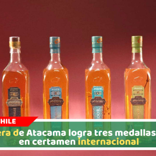 Pisquera de Atacama logra tres medallas de oro en certamen internacional