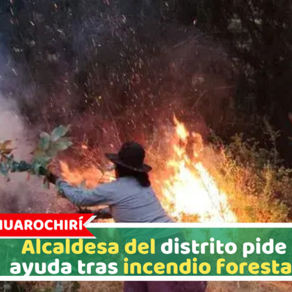Huarochirí: Alcaldesa del distrito pide ayuda tras incendio forestal