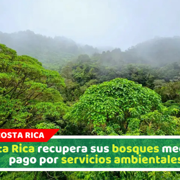 Costa Rica recupera sus bosques mediante pago por servicios ambientales