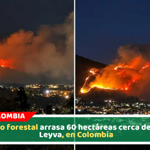 Incendio forestal arrasa 60 hectáreas cerca de Villa de Leyva, en Colombia