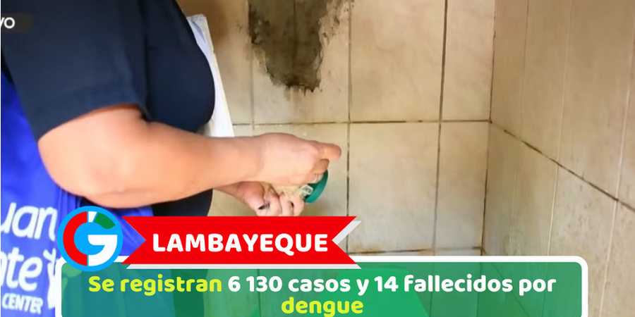 Lambayeque: Se registran 6 130 casos y 14 fallecidos por dengue