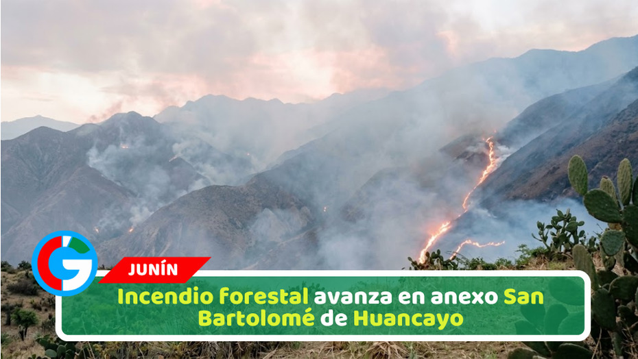 Incendio forestal avanza en anexo San Bartolomé de Huancayo