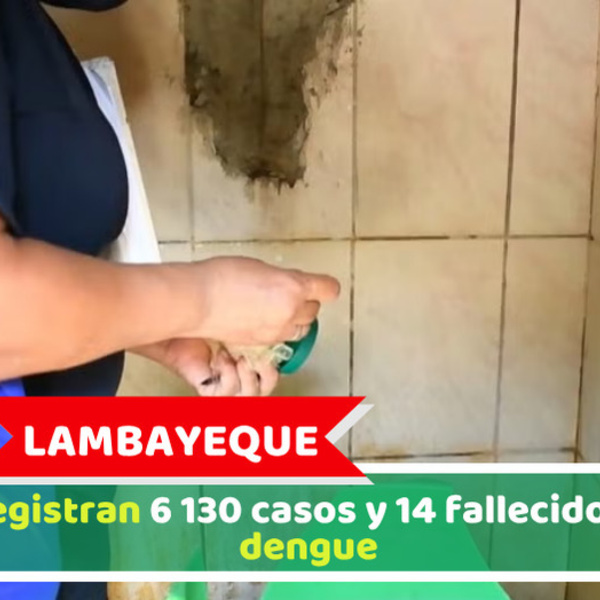 Lambayeque: Se registran 6 130 casos y 14 fallecidos por dengue