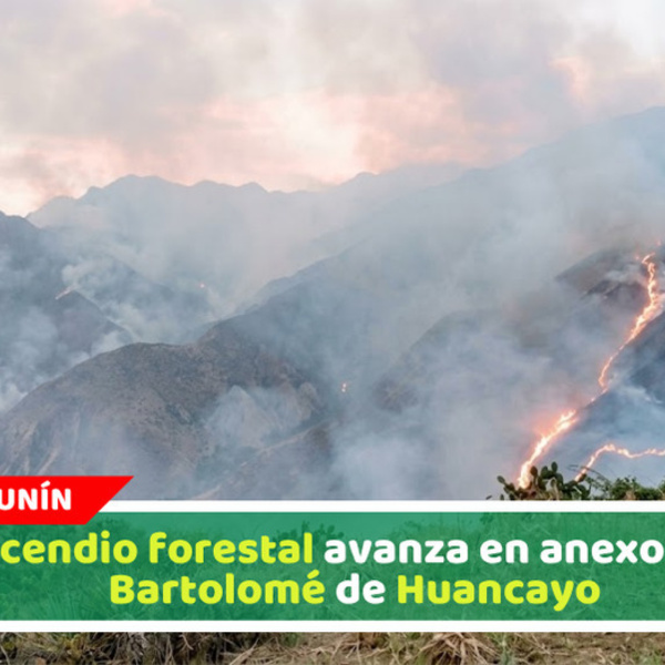 Incendio forestal avanza en anexo San Bartolomé de Huancayo