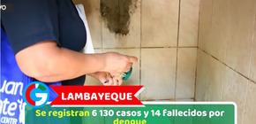 Lambayeque: Se registran 6 130 casos y 14 fallecidos por dengue