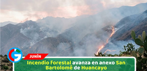 Incendio forestal avanza en anexo San Bartolomé de Huancayo