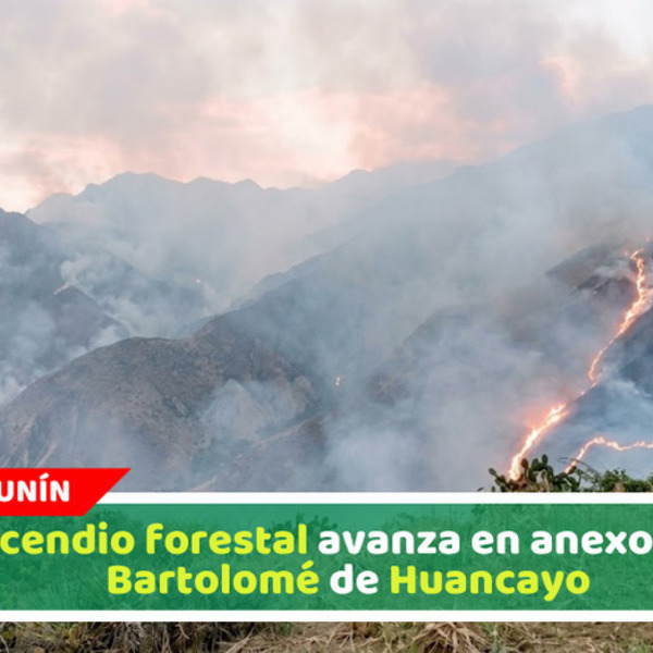 Incendio forestal avanza en anexo San Bartolomé de Huancayo