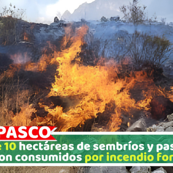 Más de 10 hectáreas de sembríos y pastizales fueron consumidos por incendio forestal